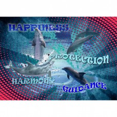 INSPIRAZIONS GREETING CARD ANIMAL SPIRIT GUIDES Dolphin Dance